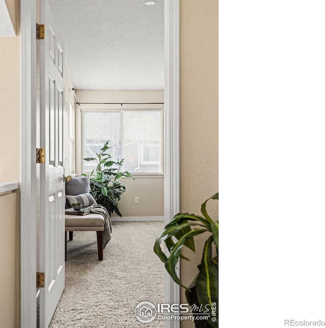 sitting room featuring baseboards, a textured ceiling, carpet flooring, and a textured wall