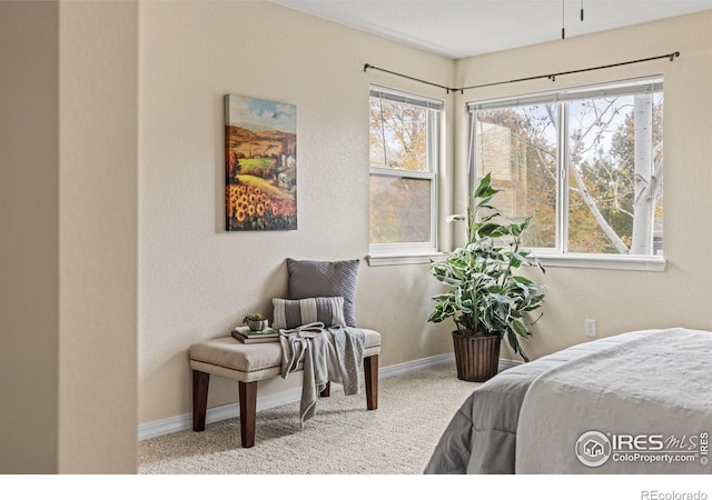 carpeted bedroom featuring baseboards