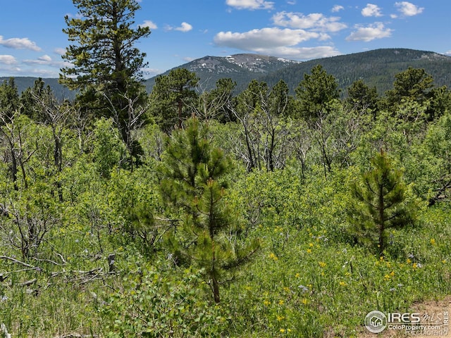 view of mountain feature