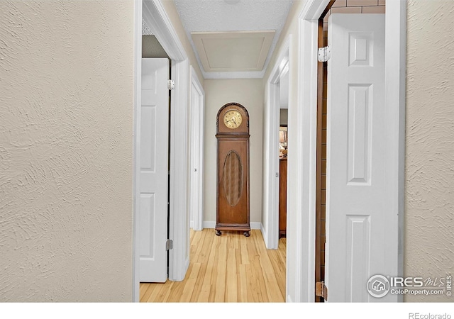 hallway featuring wood-type flooring