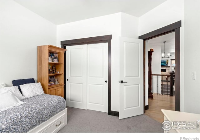 bedroom featuring carpet and a closet