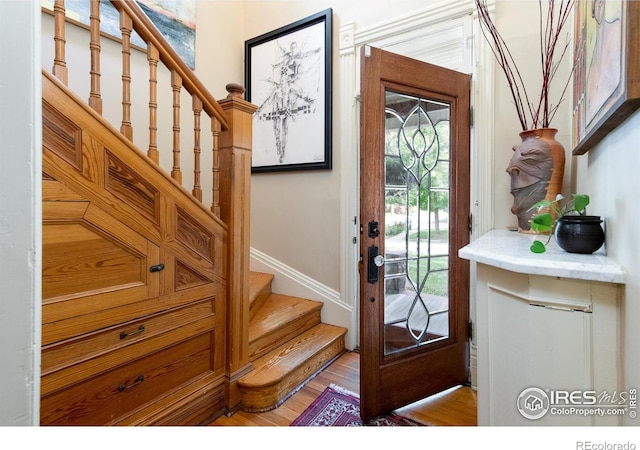 foyer entrance with wood-type flooring