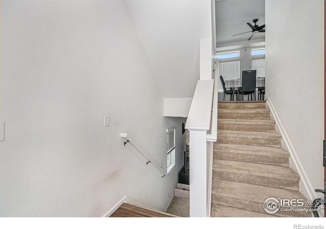 stairs featuring hardwood / wood-style floors and ceiling fan