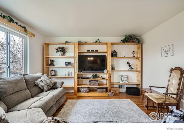 living room featuring wood-type flooring