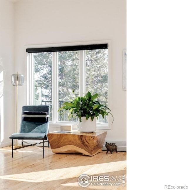 sitting room featuring a wealth of natural light and wood finished floors