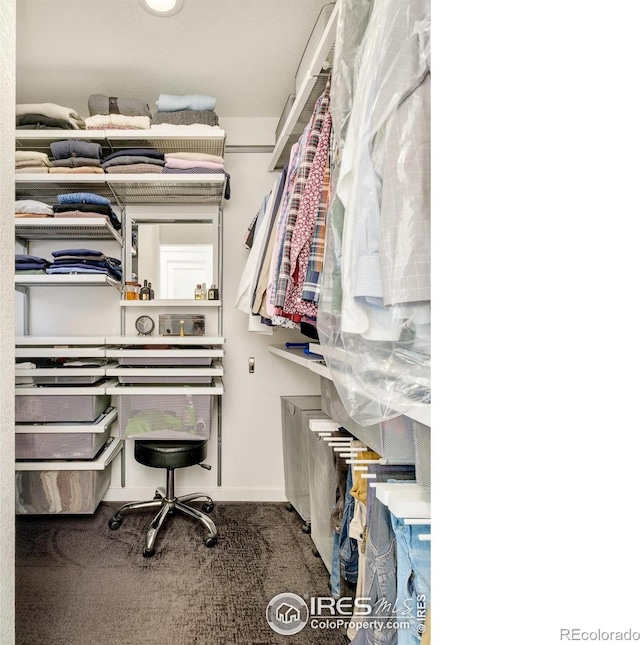 spacious closet featuring carpet