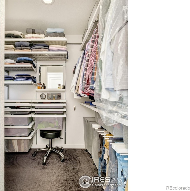 walk in closet featuring carpet flooring