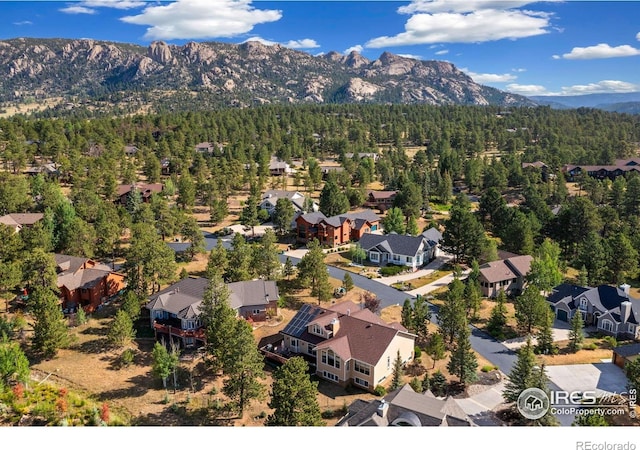 641 Findley Ct, Estes Park, CO 80517 - photo 40