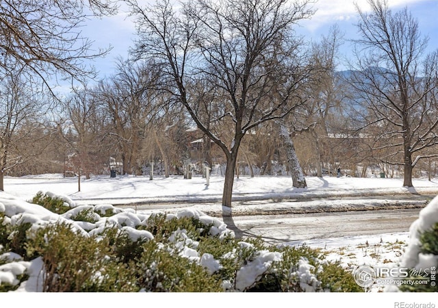 view of snowy yard