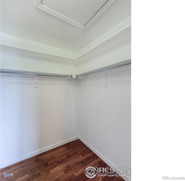 spacious closet with dark wood-type flooring and attic access