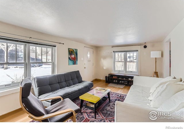 living room with baseboards, light wood-type flooring, and a healthy amount of sunlight