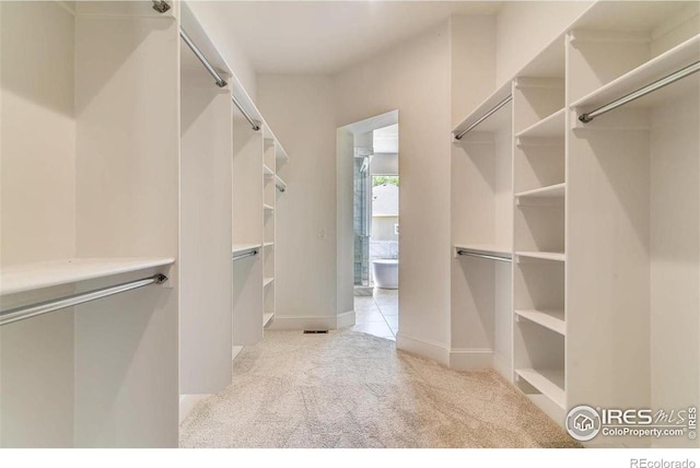 walk in closet with light colored carpet