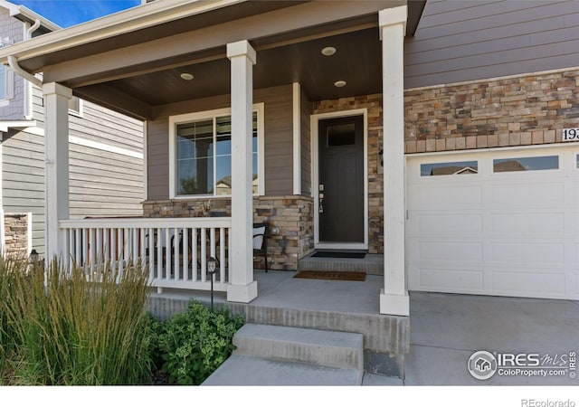 1932 Thundercloud Dr, Windsor, CO 80550 - photo 3