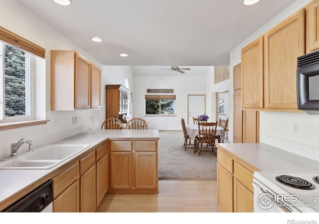 2143 Meadow Ct, Longmont, CO 80501 - kitchen with a sink, dishwasher, a ceiling fan, light countertops, and a peninsula