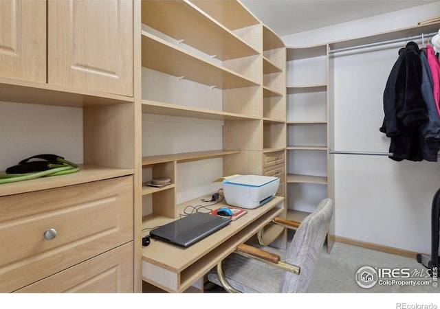 2143 Meadow Ct, Longmont, CO 80501 - walk in closet with carpet flooring