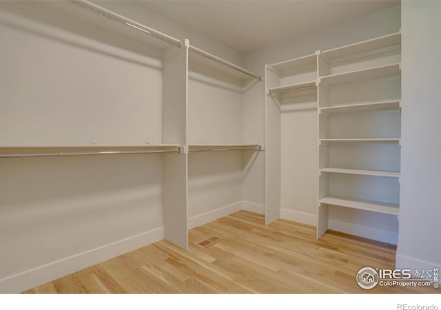 spacious closet featuring wood finished floors