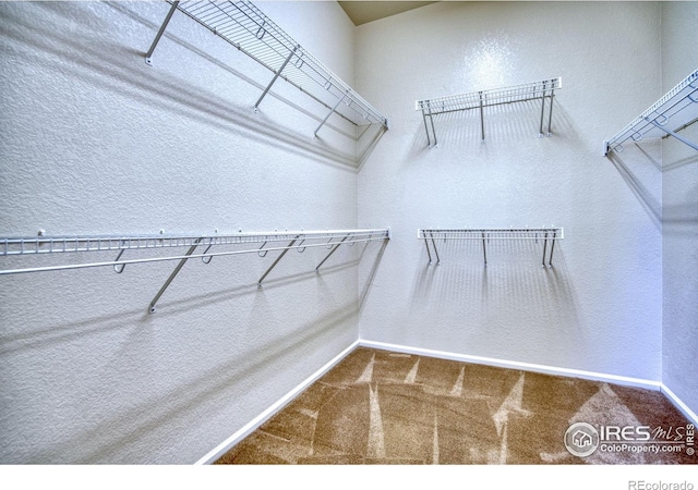 spacious closet featuring carpet flooring