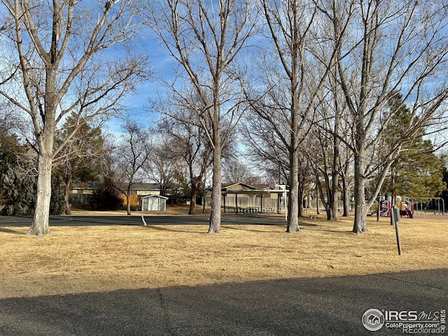 view of yard with an outbuilding, playground community, and a storage unit