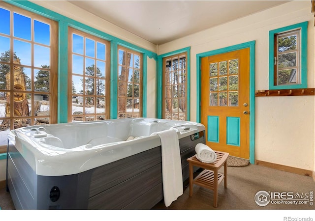 miscellaneous room featuring carpet floors, a jacuzzi, and baseboards