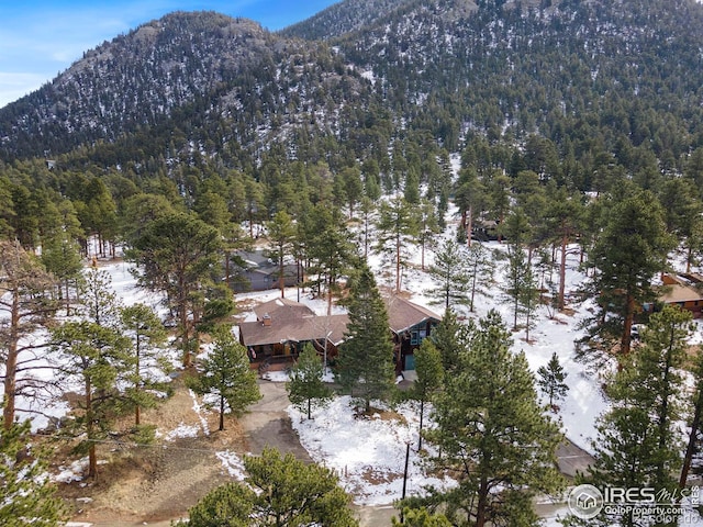 snowy aerial view featuring a mountain view