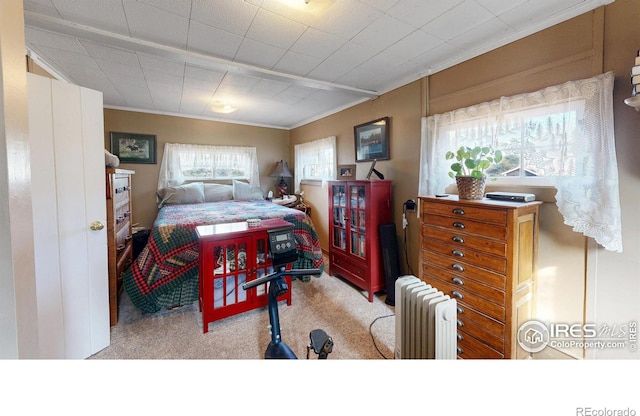 bedroom with radiator and light carpet