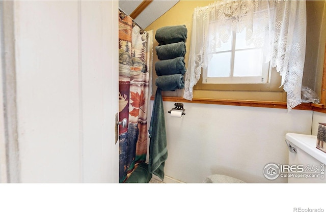 bathroom with vaulted ceiling and toilet