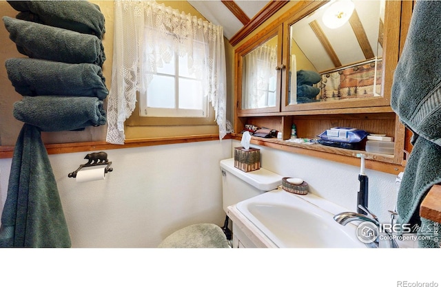 bathroom with vaulted ceiling and toilet