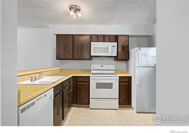 kitchen featuring dark brown cabinetry, white appliances, light countertops, a textured ceiling, and a sink