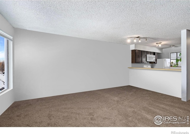 unfurnished living room featuring carpet flooring, plenty of natural light, and a textured ceiling