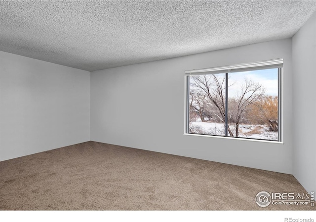 carpeted spare room featuring a textured ceiling