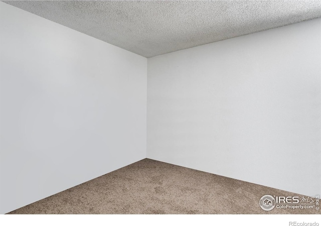 empty room featuring a textured ceiling and carpet floors