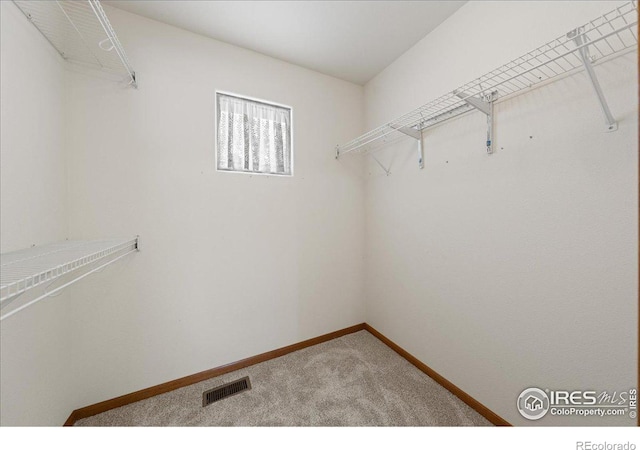 walk in closet with carpet and visible vents