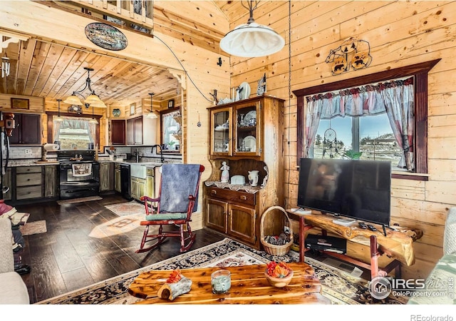 living area with wood walls, wooden ceiling, and dark wood finished floors