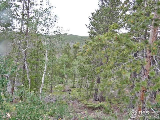 Listing photo 2 for 1601 Osage Trl, Red Feather Lakes CO 80545