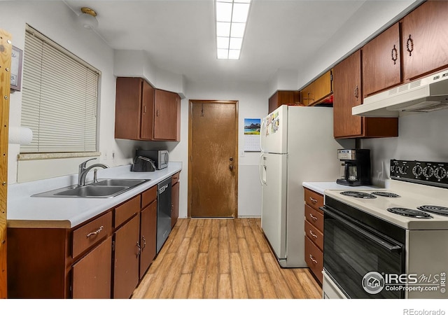 kitchen with light wood-style flooring, under cabinet range hood, range with electric stovetop, a sink, and light countertops