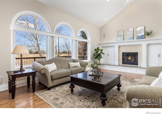 living area featuring high vaulted ceiling, light wood finished floors, and a healthy amount of sunlight