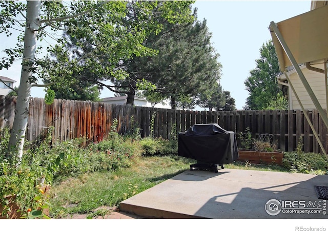 view of yard with a patio area and a fenced backyard