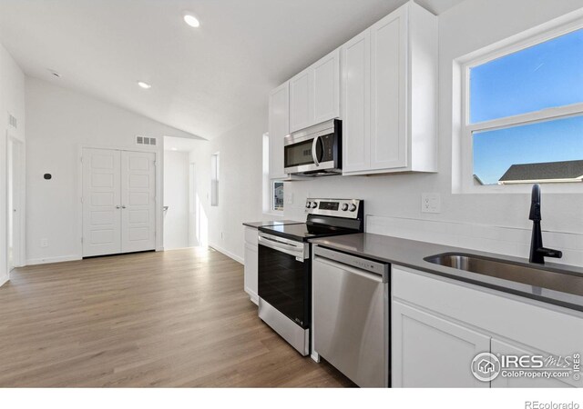 394 Condor Way, Johnstown, CO 80534 - photo 13