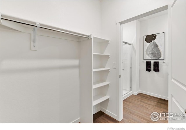 walk in closet featuring wood finished floors