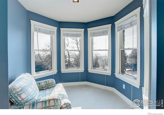 sitting room with carpet and baseboards