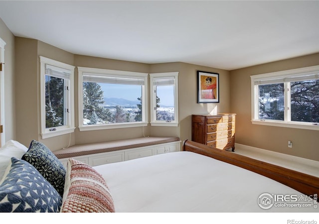 bedroom with multiple windows and a mountain view