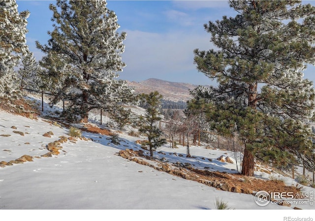 property view of mountains