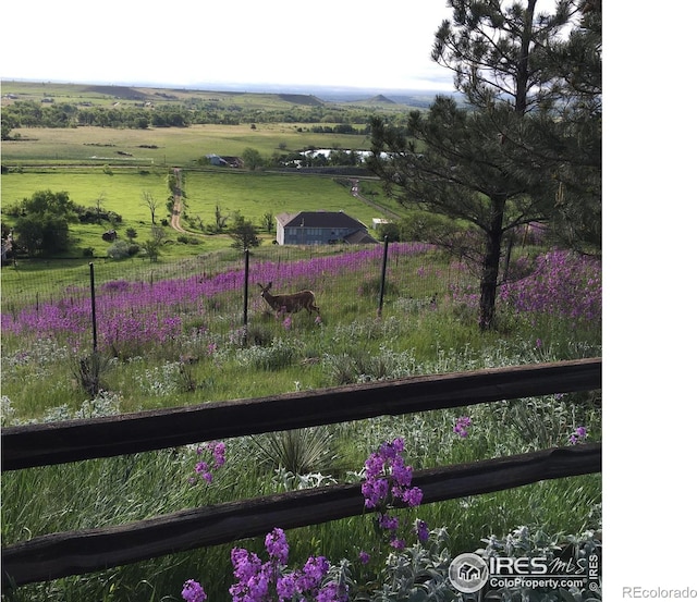 view of yard featuring a rural view