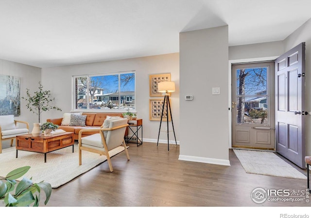 living room with baseboards and wood finished floors