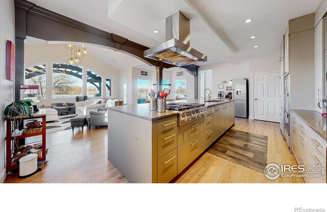 kitchen with arched walkways, a healthy amount of sunlight, appliances with stainless steel finishes, light wood-type flooring, and island exhaust hood