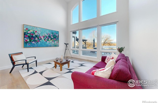 10667 E Goose Haven Dr, Lafayette, CO 80026 - living area featuring a towering ceiling, wood finished floors, and baseboards