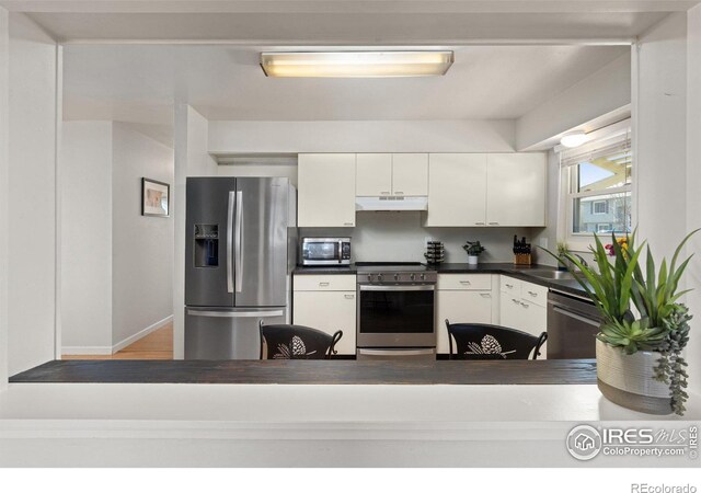 kitchen with under cabinet range hood, stainless steel appliances, a sink, white cabinets, and dark countertops