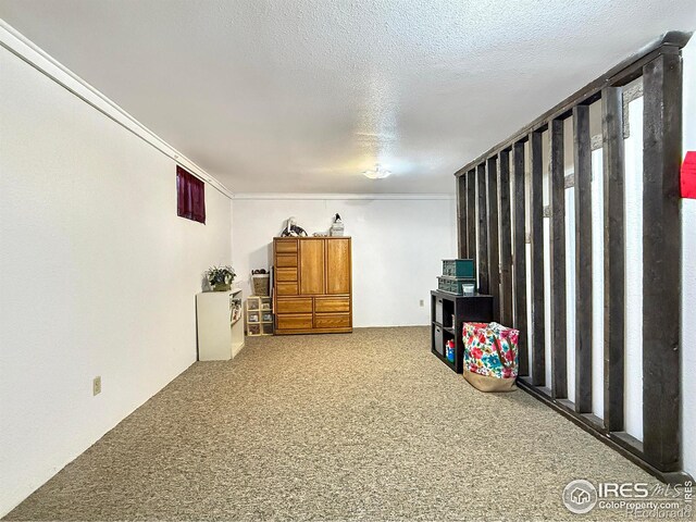 basement with a textured ceiling and carpet