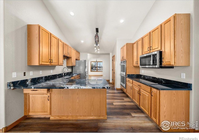 11837 County Road 39, Fort Lupton, CO 80621 - kitchen featuring dark wood-style floors, lofted ceiling, a peninsula, and stainless steel appliances