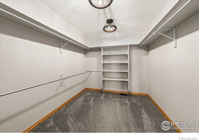 11837 County Road 39, Fort Lupton, CO 80621 - walk in closet featuring carpet flooring